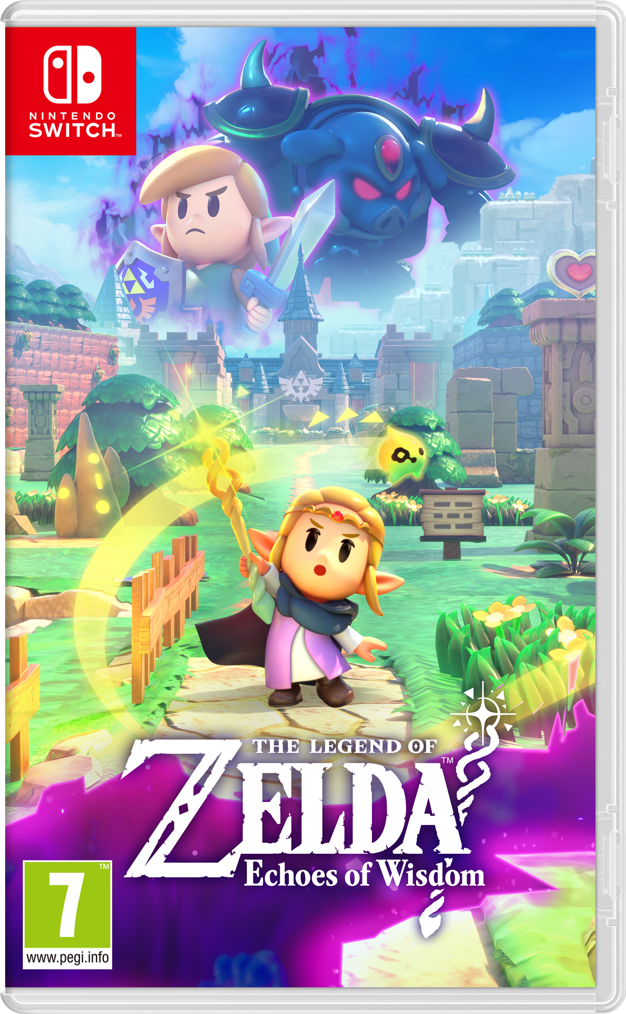 66643